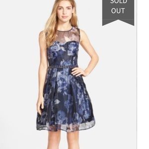 Eliza J Dress Size 6 Petite